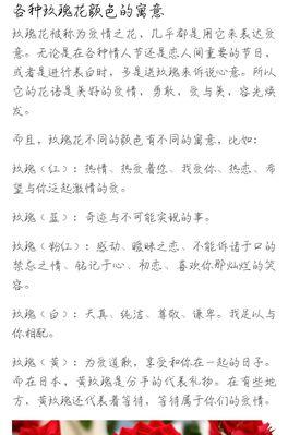 探寻玫瑰花语的世界（解读玫瑰花的情感密码，纵览爱情和友情的魅力）