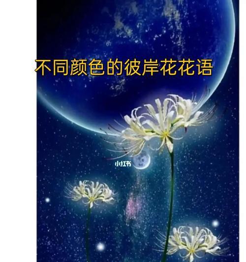 彼岸花——花园中的“夜明珠”（盛开在秋天的彼岸花，传递着不同的花语）