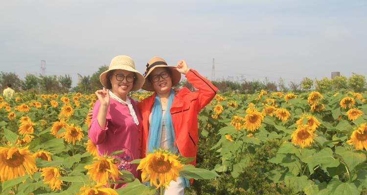 花语之友谊长存（用花语传递真挚情感，让友谊长存）