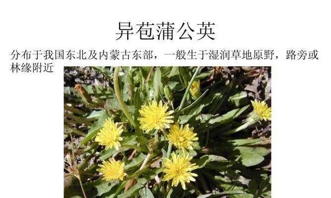 探秘我国珍稀植物（保护自然、守护生态）