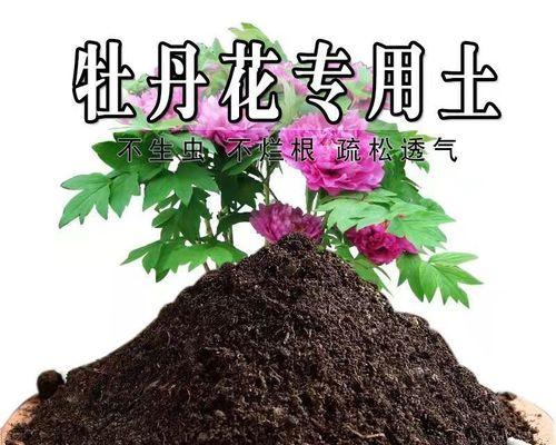 营养土，种花不再难（直接种植，解放烦恼；营养多元，花儿更艳；绿色环保，健康根基）