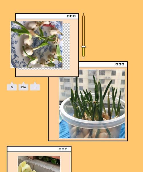 青蒜种植全攻略（从时机到技巧，助你成功种植青蒜）