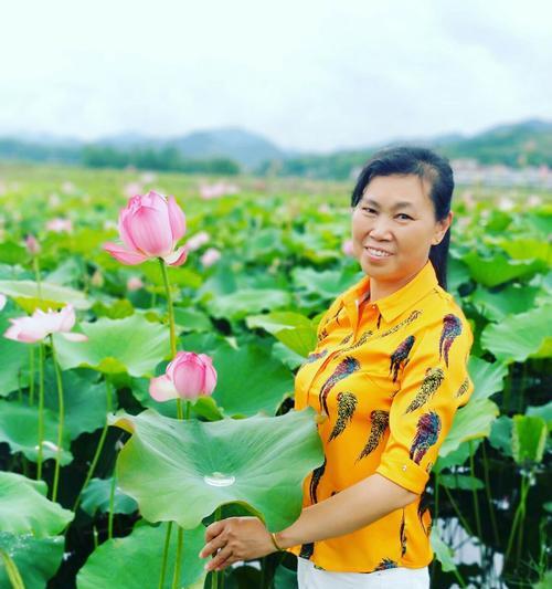 荷花与生肖-生肖与荷花相映成趣（中国十二生肖与荷花的奇妙共鸣）