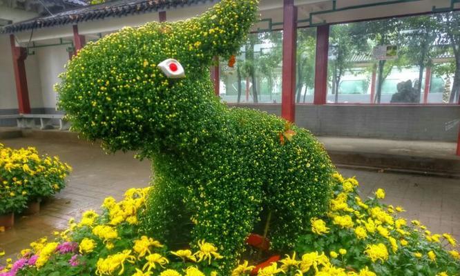 以菊花代表生肖的传统文化（探索菊花在十二生肖中的象征意义）