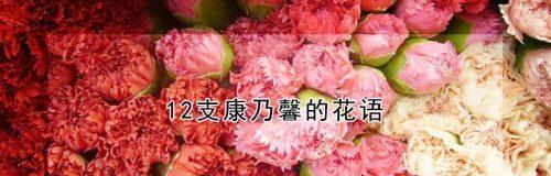 康乃馨花语与寓意的象征意义（探索康乃馨花的花语及其背后的含义）