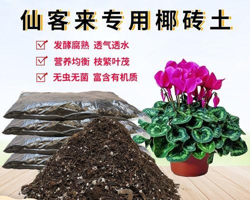 盆栽植物换土方法（让盆栽植物健康成长的养护技巧）