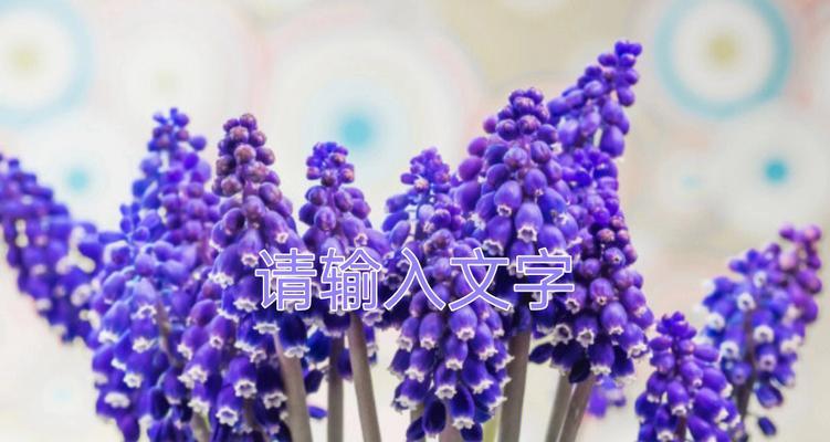 风信子花语与特性（解读风信子的花语和品种特点）