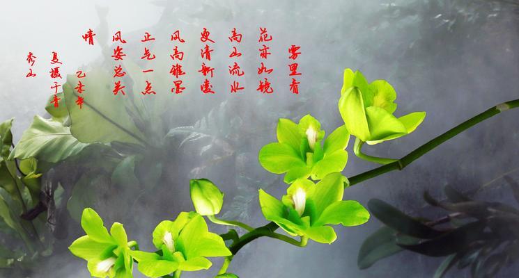 梅兰竹菊（探寻梅兰竹菊的深层含义，领略花卉背后的生命哲理）