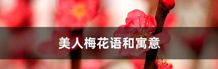 美人梅花语——妖冶与纯洁的完美融合（探寻梅花诗画的深意与内涵）