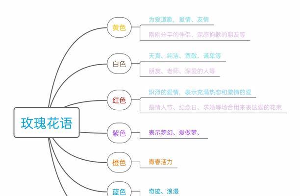 可爱的花语——以小雏菊为主题（小雏菊花语的意义与魅力）