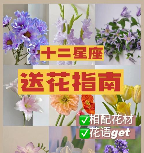 相逢花语——以桃花为主题的文章（桃花盛开，相遇缘起）