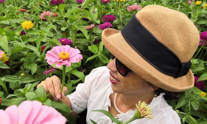 四季花开，岁月常新（四季性花卉中的瑰宝花朵）