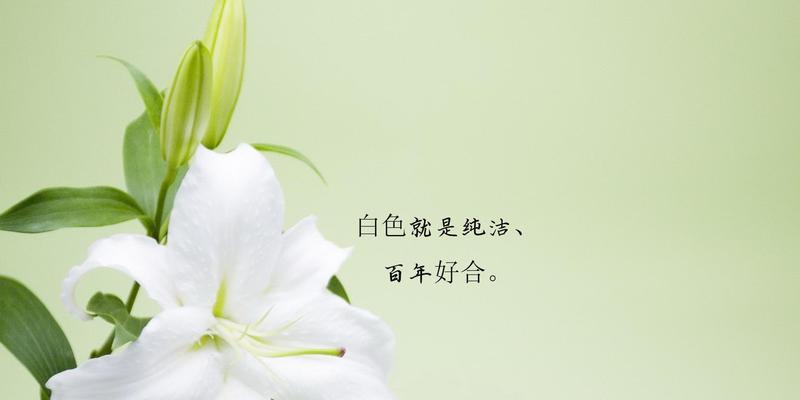 背叛的花语（背叛花朵的花语解析及心理暗示）