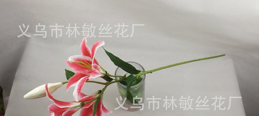 解读“以三头百合”的含义（百合花的象征与寓意）