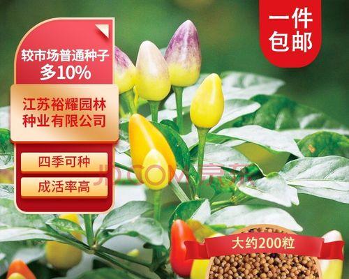 西红柿用什么肥料（西红柿的种植方法步骤）