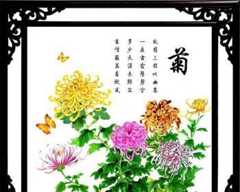 梅兰竹菊（四君子花的象征意义及解释）