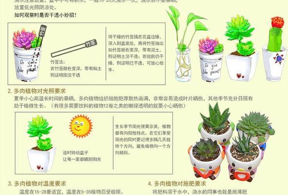 如何保存和种植阿弗雷种球（保存方法和种植时间）