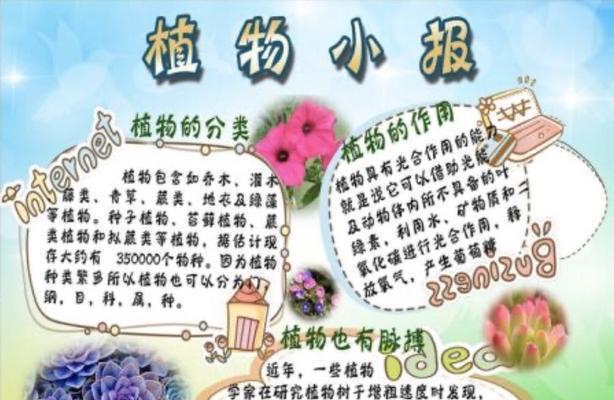 矮牵牛花的播种时间及注意事项（春季播种）