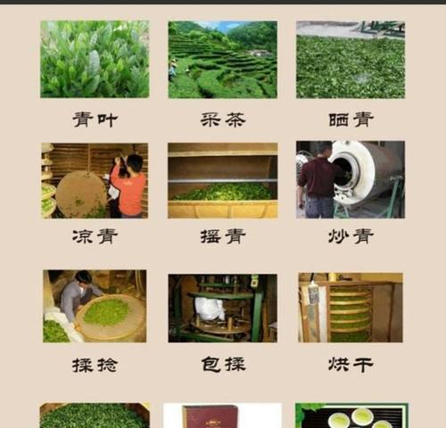 探秘斑马豆的神奇功效与美味食用（发掘斑马豆的营养成分及适宜人群）