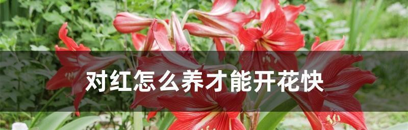 对对红冬天会冻死吗（科学解析下山滑雪的穿衣原则与注意事项）