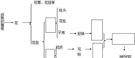 多肉广寒宫繁殖方法及注意事项（掌握关键技巧）