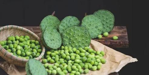 莲子的种植方法（莲子种植时间及技巧）