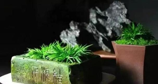 菖蒲之美（传统文化中菖蒲的象征意义）