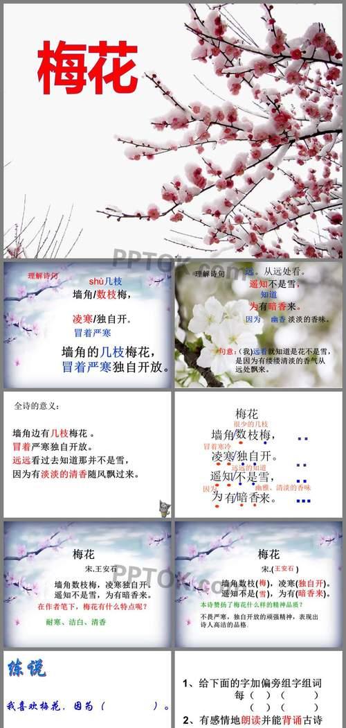 四季梅花开放时间及特点分析（四季梅花期长短不一）