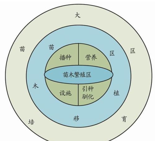 四季莴笋种植指南（时间）