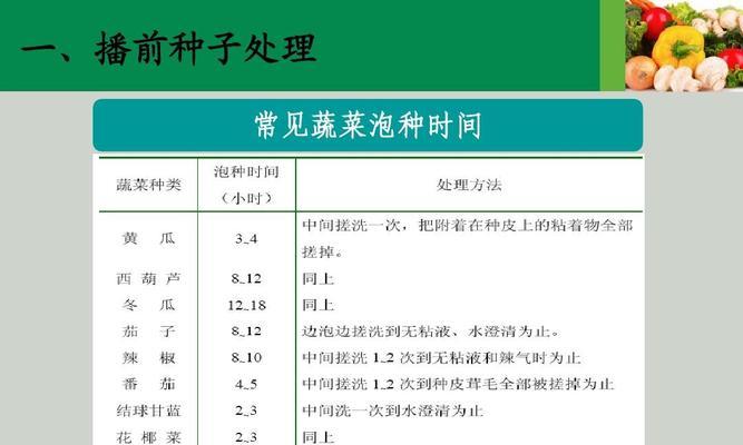 松果菊种子的最佳播种时间（如何确定适合松果菊种子的播种时间）