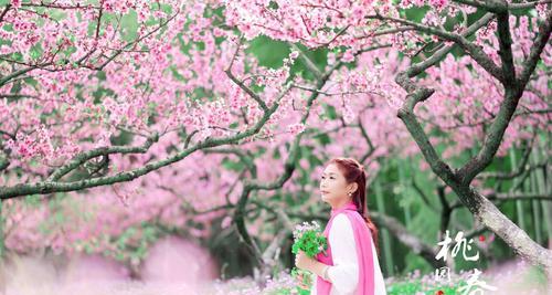 桃花的花语和传说（桃花的美丽和神奇之旅）