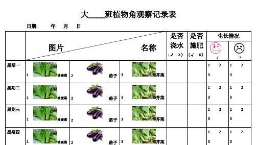 菜豆角的种植及时间掌握（掌握种植技巧）