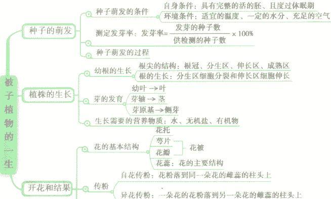 打造美丽家园，学习地毯草种子种植方法（从选种到养护全解析）