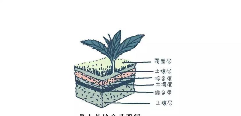 米兰配土方法与种植土壤（如何科学配制土壤）