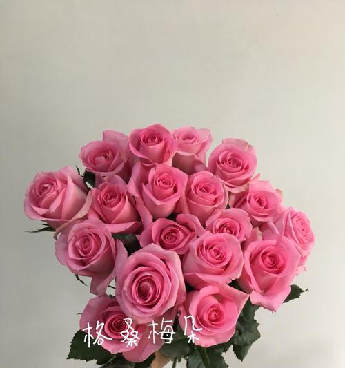 18朵玫瑰的花语与传统意义（探索花朵数量对象征意义的奥秘）