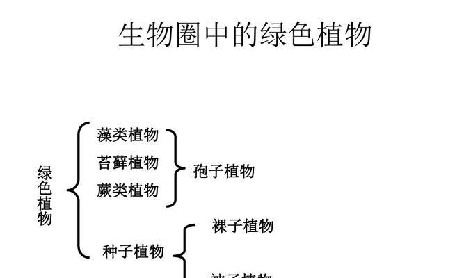 无花果分株技巧（如何正确分株并让无花果树长势更旺盛）