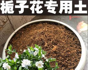 改良土壤，促进植物生长（改良土壤）