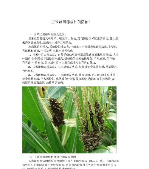 高粱花叶病的症状及防治方法