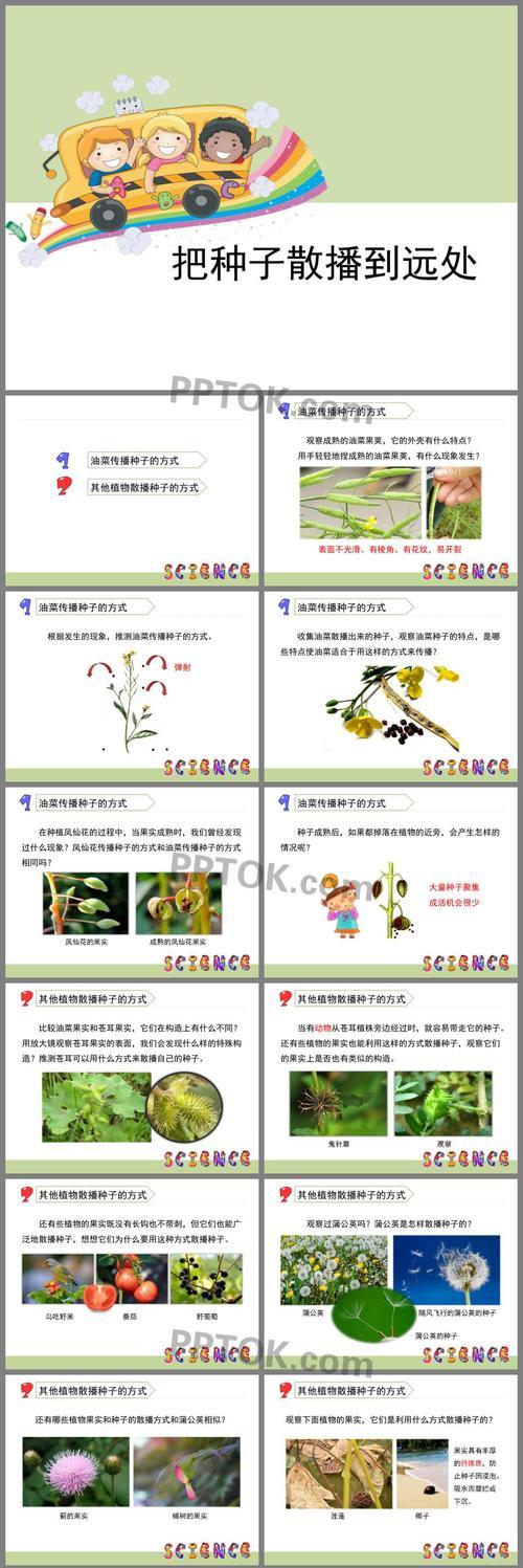 高粱的生长周期与发芽时间（从播种到出苗）