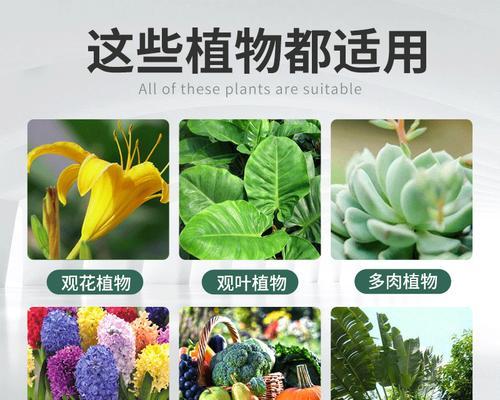 探究高磷肥料对植物生长的秘密（揭开高磷肥料的神秘面纱）