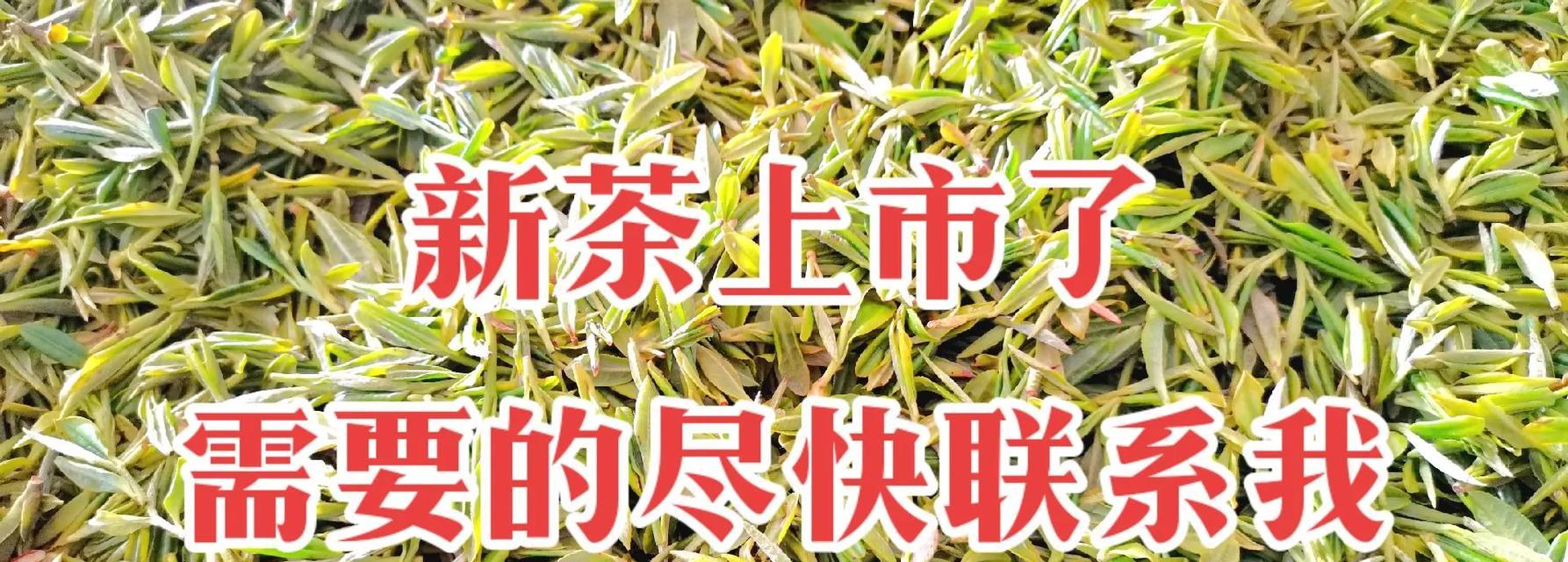 高山云雾茶——独具特色的乌龙茶（探秘高山云雾茶的品质与传统魅力）