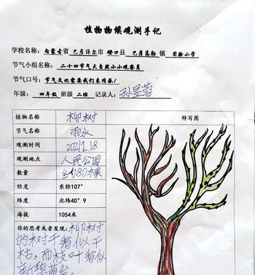 矮牵牛冬季如何安全越冬？种植技巧有哪些？