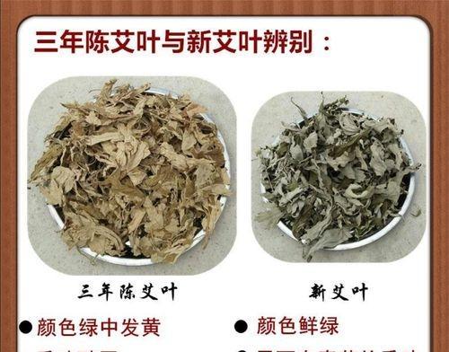 艾草喜阴还是喜阳？种植艾草的光照需求解析？