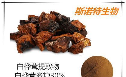 白桦茸的功效与作用是什么？如何正确食用白桦茸？