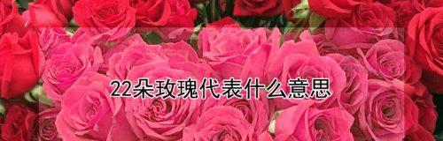 19朵玫瑰花语是什么意思？送花时需要注意什么？