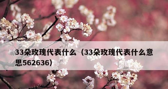 47朵玫瑰花的花语是什么？送花时需要注意什么？