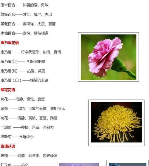 不同颜色花毛茛花语是什么？花语背后有何含义？