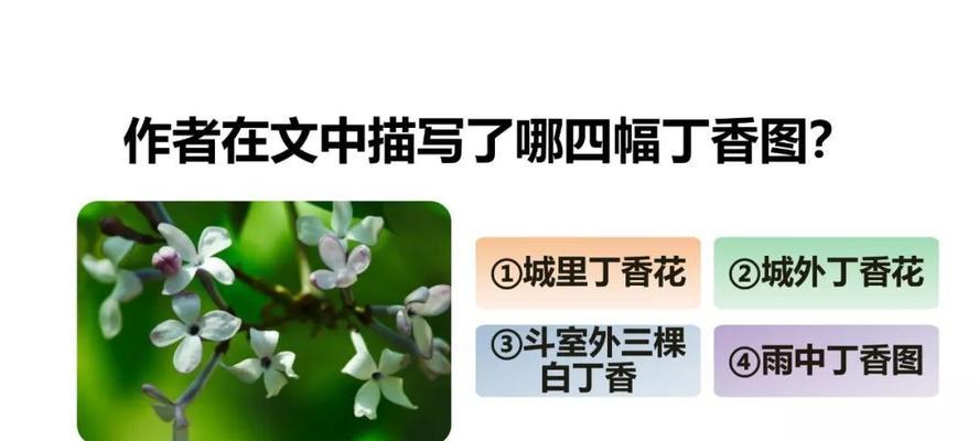 丁香花的花语是什么？它代表了哪些意义？