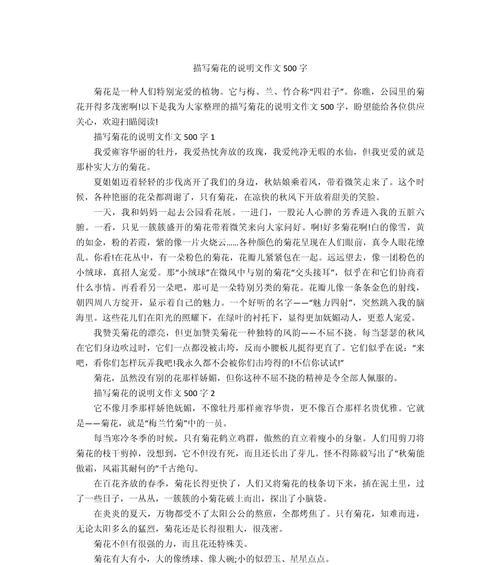 我心中的菊花作文550字写法大全简单