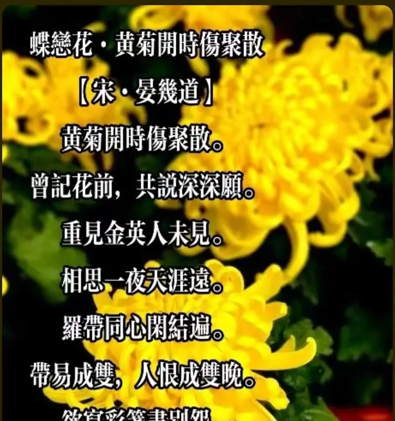 赞美菊花的简句短句